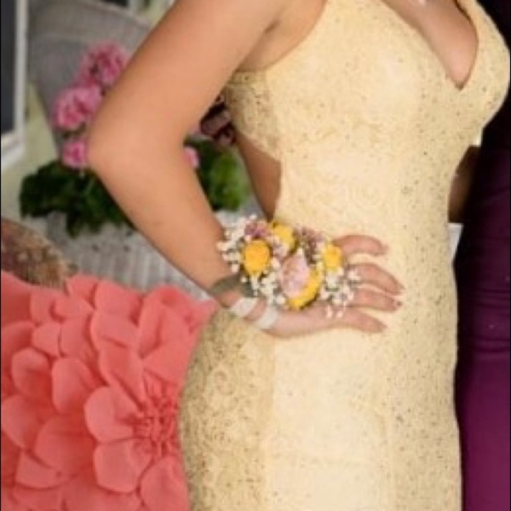 SHERRI HILL PROM DRESS